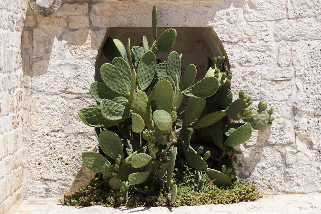 Trulli Holiday Albergo Diffuso Alberobello Exterior foto